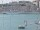 Webcam auf der AIDAblu, 1.4 km entfernt
