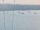 Webcam på AIDAblu, 17.6 km