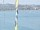 Webcam auf der AIDAblu, 57.1 km entfernt