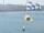 Webcam sulla AIDAblu, 37.5 km