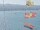 Webcam auf der AIDAblu, 57.6 km entfernt