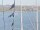 Webcam on the AIDAblu, 16.8 mi away