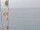 Webcam sulla AIDAblu, 17.8 km