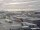 Webcam en el AIDAsol, 0 km