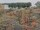 Webcam sulla AIDAmar, 0.7 km