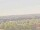 Webcam auf der AIDAmar, 87.8 km entfernt