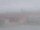 Webcam sur la AIDAmar, 56.6 km