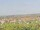 Webcam on the AIDAmar, 0.3 mi away