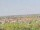 Webcam auf der AIDAmar, 0.8 km entfernt
