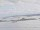 Webcam auf der AIDAmar, 85.9 km entfernt