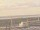 Webcam on the AIDAmar, 3.5 mi away