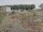 Webcam sulla AIDAmar, 165.3 km