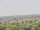 Webcam on the AIDAmar, 0 mi away