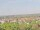 Webcam sulla AIDAmar, 99.5 km