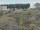 Webcam sur la AIDAmar, 190.7 km