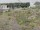 Webcam sur la AIDAmar, 174.2 km