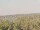 Webcam on the AIDAmar, 105 mi away