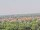 Webcam auf der AIDAmar, 97.7 km entfernt