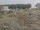 Webcam sulla AIDAmar, 186.7 km