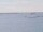 Webcam auf der AIDAmar, 0 km entfernt