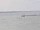Webcam on the AIDAmar, 28.9 mi away