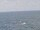 Webcam on the AIDAmar, 27.5 mi away
