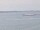 Webcam sulla AIDAmar, 87.9 km
