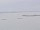 Webcam sur la AIDAmar, 110.4 km