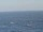 Webcam on the AIDAmar, 20.8 mi away