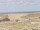 Webcam on the AIDAmar, 15.1 mi away