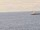 Webcam sulla AIDAmar, 44.3 km