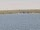 Webcam auf der AIDAmar, 111.3 km entfernt