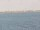 Webcam sulla AIDAmar, 11.1 km