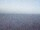 Webcam on the AIDAstella, 13.8 mi away