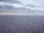 Webcam on the AIDAstella, 14.5 mi away