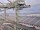 Webcam on the AIDAstella, 153.5 mi away