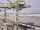 Webcam auf der AIDAstella, 780 km entfernt