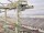 Webcam auf der AIDAstella, 1250.8 km entfernt
