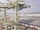 Webcam auf der AIDAstella, 1403.5 km entfernt