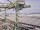 Webcam auf der AIDAstella, 1734 km entfernt