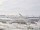 Webcam auf der AIDAstella, 46 km entfernt