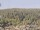 Webcam on the AIDAprima, 0 mi away