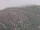 Webcam on the AIDAprima, 66.1 mi away