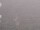 Webcam on the AIDAprima, 15.4 mi away