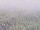 Webcam on the AIDAprima, 36.2 mi away