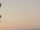 Webcam auf der AIDAprima, 164.4 km entfernt