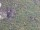 Webcam on the AIDAprima, 0.5 mi away