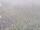 Webcam sulla AIDAprima, 49.6 km