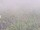 Webcam on the AIDAprima, 44.9 mi away