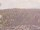 Webcam sulla AIDAprima, 78.5 km